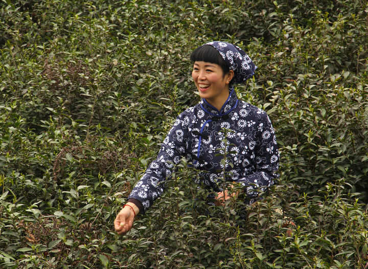 百丽热门2